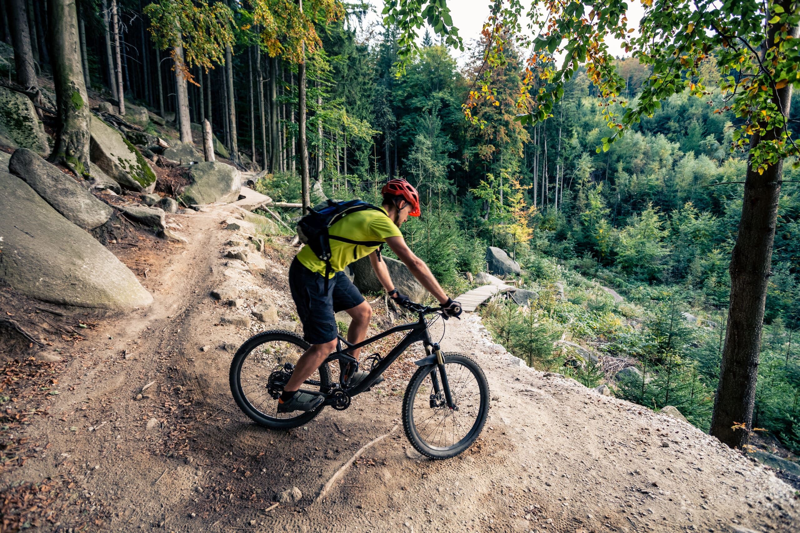 mountain bikes for sale